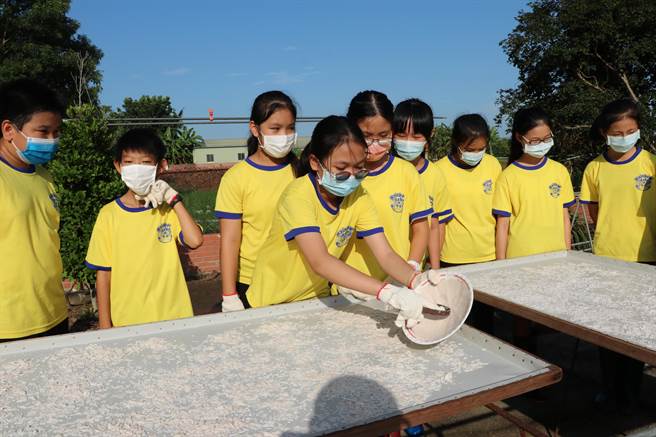 学生刮着莲藕粉。（南大附小提供／张毓翎台南传真）