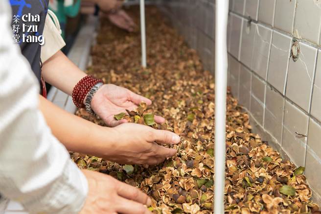 茶籽堂邀请探索者翻翻茶籽、抽取诗籤，共感这份深层的感动。（茶籽堂提供）