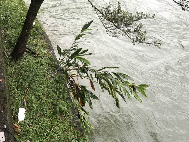 国二生周昌谚表示，一名身穿红色衣服女童，趴在接近公厕围栏、石头，手抓着树木挣扎，意识清楚不断呼喊。（陈彩玲摄）