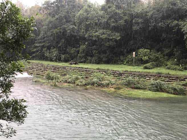 国二生周昌谚表示，当时溪水堪比海浪，杂草都已被吹倒。（陈彩玲摄）