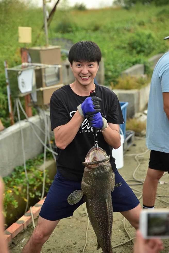 江宏傑使出吃奶力量釣到一條20多公斤的大龍膽石斑。（三立提供）