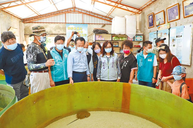 嘉义县长翁章梁（前左四）参观「鲎」，并表示正争取经费筹建全国唯一鲎生态保育馆。（嘉义县政府提供／廖素慧嘉县传真）