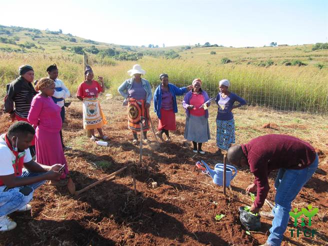 史瓦帝尼家扶中心與專業團隊，前往認養社區提供菜苗並教導家庭耕種農作物。（家扶提供／盧金足台中傳真）