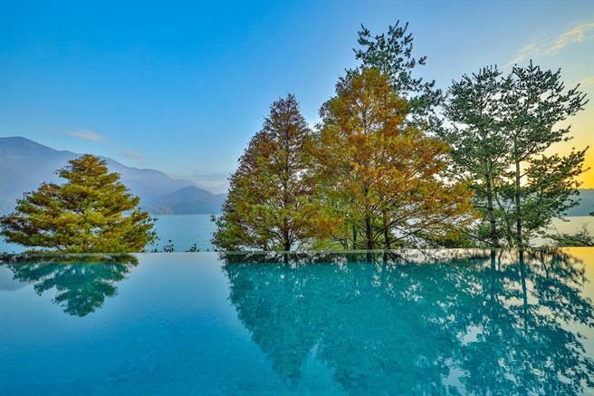 日月潭畔落羽松，已经悄然变色。（涵碧楼提供／廖志晃南投传真）