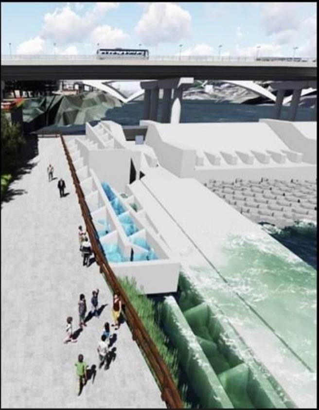 碧潭堰预计明年12月完工 洄游实况赏鱼平台民眾超期待。（新北市水利局提供）