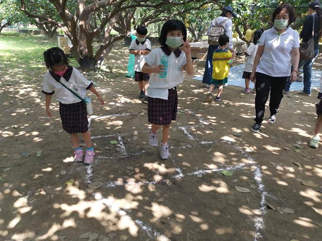 麻豆區安業國小學童到大白柚果園上食農教育課，在樹下嬉戲。(劉秀芬攝)