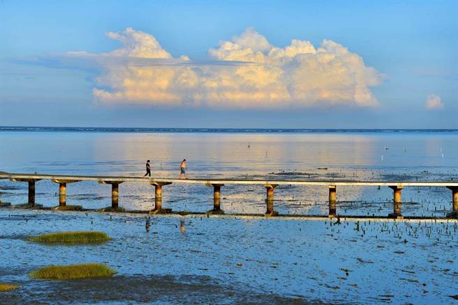 竹市海山漁港小旅行體驗生態 認識魚獲30日起登場 寶島 中時