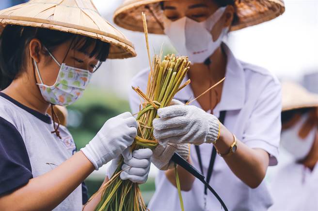 学童还遵循传统「拜田头」敬天，立「土地公拐」谢地，体验收割、扎稻杆、及倒吊晒米乐趣。（卢金足摄）