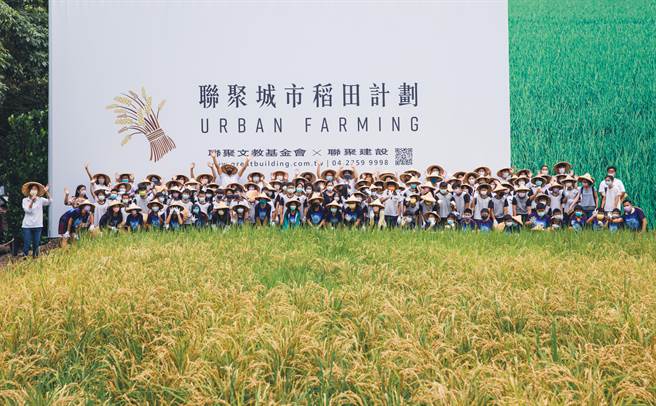 感恩土地庆丰收，学童齐聚联聚城市稻田，上了一堂春耕、秋收的大自然课程。（卢金足摄）