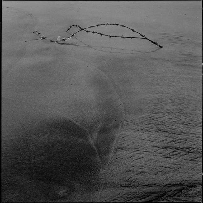 水头沙岸-2, 金城镇台电塔山电厂卸货码头, 2001（洪世聪提供）