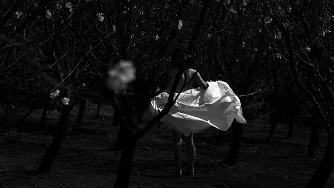 郭英聲睽違27年再推出個人攝影集《私風景》。（郭英聲提供）