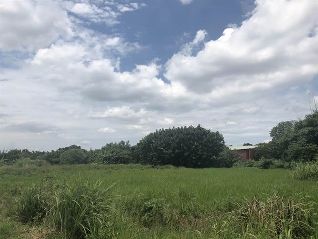 桃園市八德大安科技園區預計建於緊鄰在美上市的美超微科技公司旁。（桃園市經發局提供／陳夢茹桃園傳真）