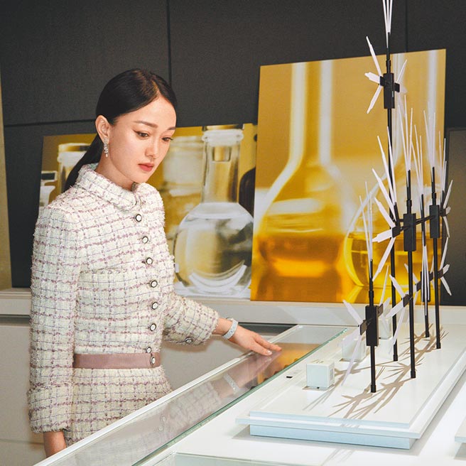 荣登最会赚钱华裔女星的周迅，佩戴N°5 DROP耳环，验证幸运数字「5」为她带来好运。（香奈儿提供）