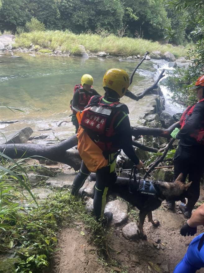 警消带着搜救犬从六和桥至畚箕湖间、黑龙潭至乌嘴长潭河岸草丛各搭配2组犬队强力搜索。(新北市消防局提供)