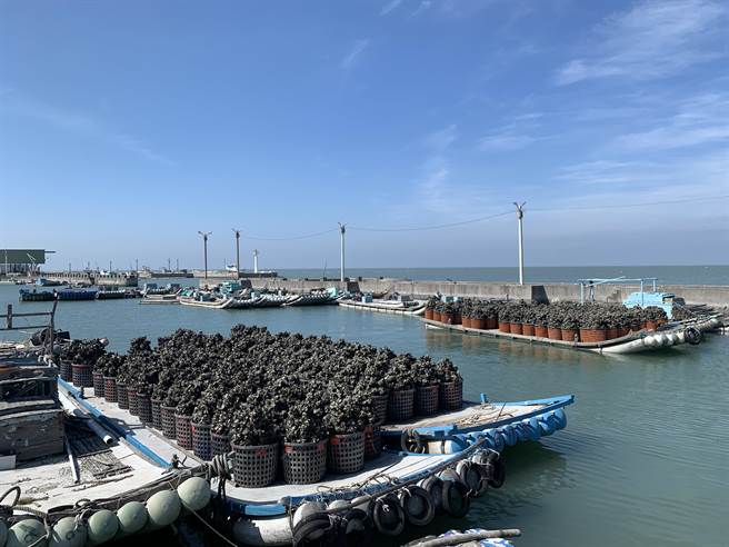 立委蔡易余今以经济委员会名义，邀农委会主委陈吉仲、渔业署长张致盛等人到东石网寮、白水湖渔港实地会勘。（吕妍庭摄）