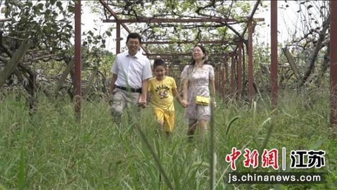 謝俊興一家三口的梨園風光 / 圖片提供：中新社