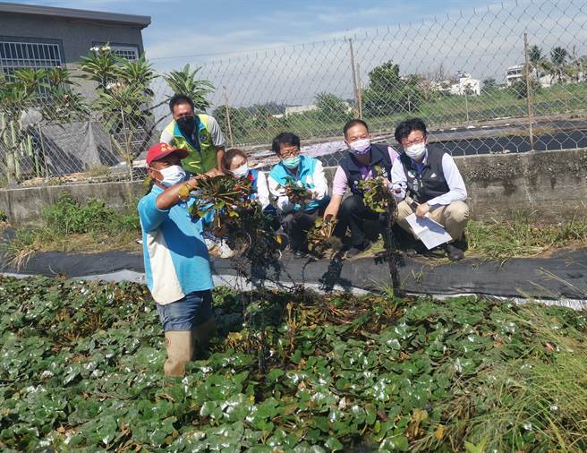 立委郭國文（右一）邀相關單位至官田、下營多處菱田會勘災損。（劉秀芬攝）