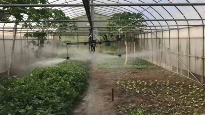 杨舒宇团队打造温室自动化洒水系统，协助农友科技化务农。（杨舒宇提供）