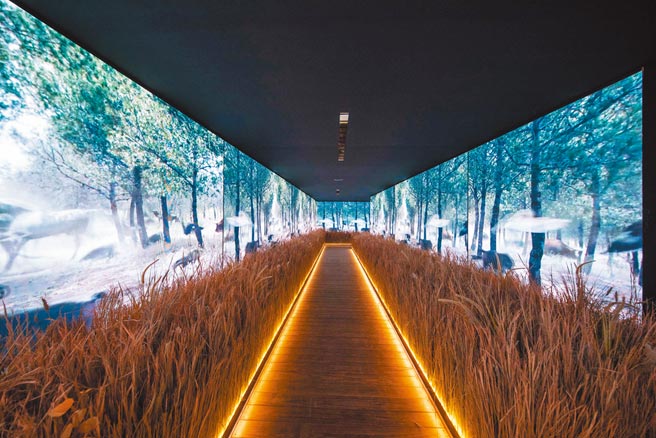 GUCCI打造方舟空间，重现2019早春形象广告。（GUCCI提供）