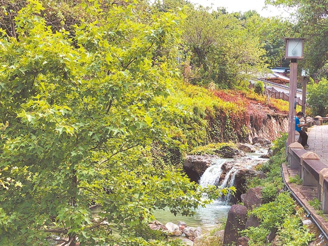 立足在生命的湍流处。