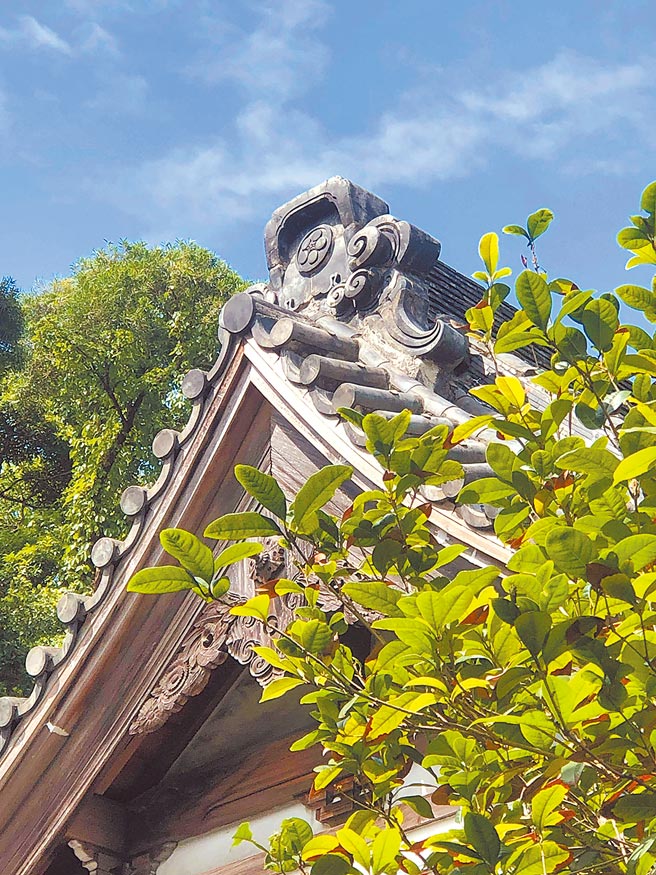 一孤叶一微云，终究只是不期然的相遇。