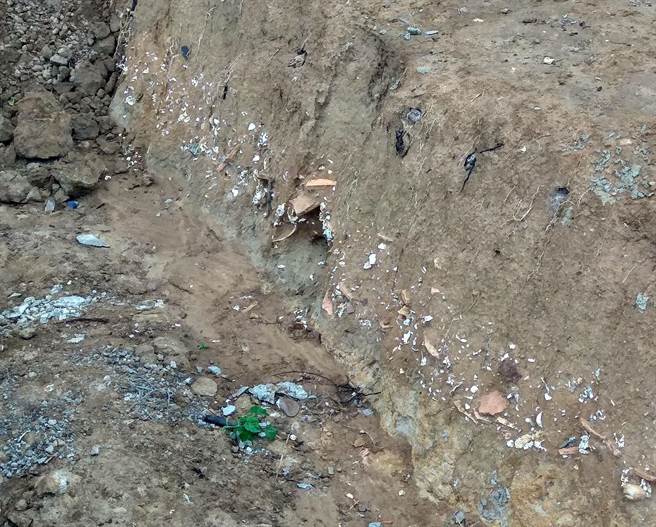 離地表1米處的土層明顯可見貝殼、瓦陶片，將在委請專家學者會勘，確認是否為文化層後，再決定後續處理方式。（金門縣文化局提供）