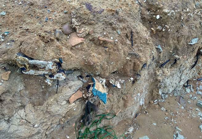 離地表1米處的土層明顯可見貝殼、瓦陶片，將在委請專家學者會勘，確認是否為文化層後，再決定後續處理方式。（金門縣文化局提供）
