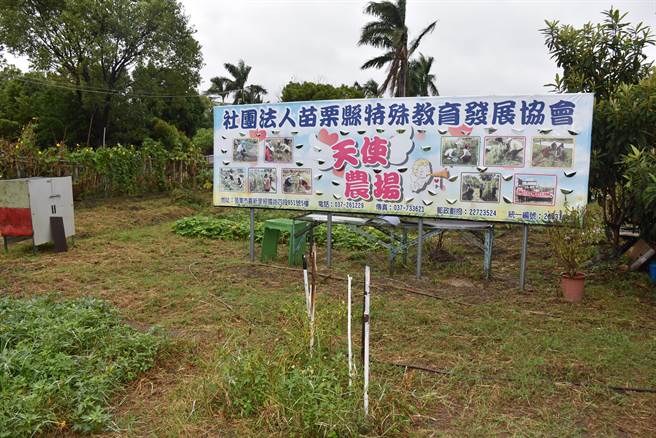 苗栗县特殊教育关怀协会目前在苗栗市内承租的天使农场。（谢明俊摄）