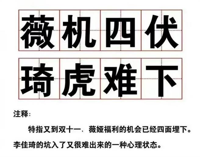 大陆网红电商主播李佳琦与薇娅销售能力太惊人，因此出现了新成语。（网路图片）