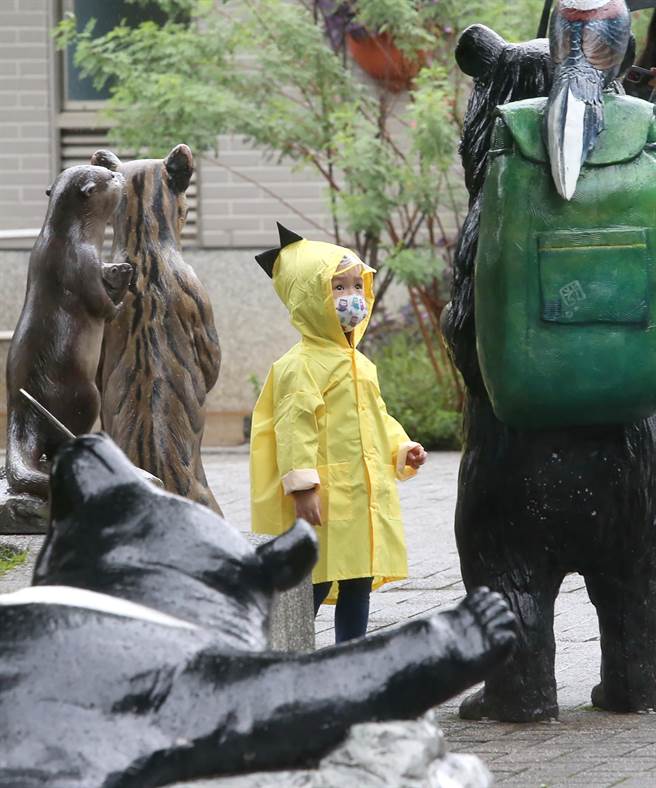 台北市虽然下起大雨，民眾仍到动物园游玩，小朋友穿着雨衣认真看着模型动物。（赵双杰摄）