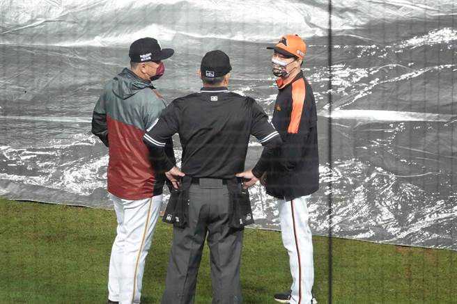 乐天桃猿总教练曾豪驹（左）与狮队总教练林岳平（右）。（毛琬婷摄）