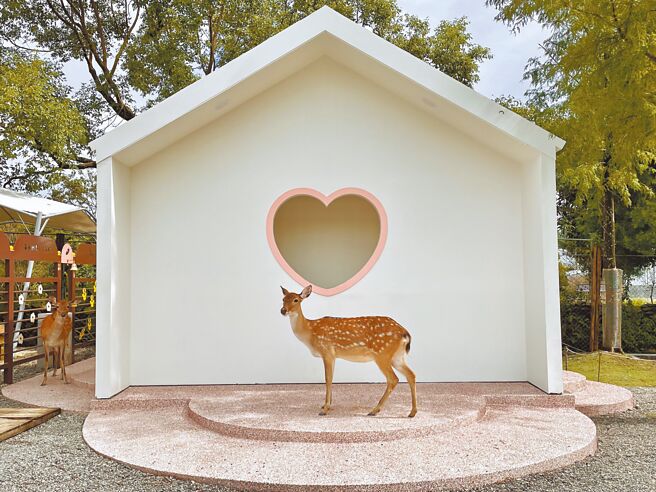 全新打造的「爱情小屋」，透过喂食小鹿可换算生命灵数，领取爱情诗籤。（何书青摄）