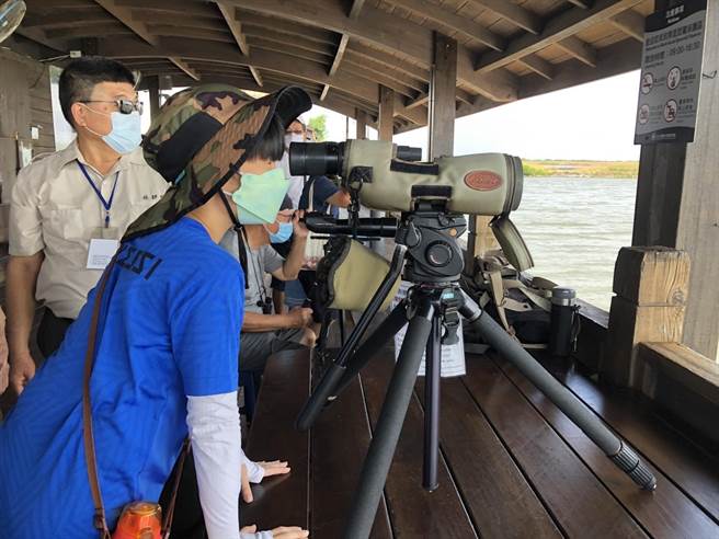 游客可搭解说专车到赏鸟亭观看黑琵栖息生态。（台江国家公园提供／程炳璋台南传真）