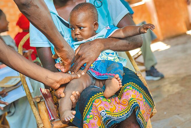 疟疾疫苗救非洲儿童图╱美联社