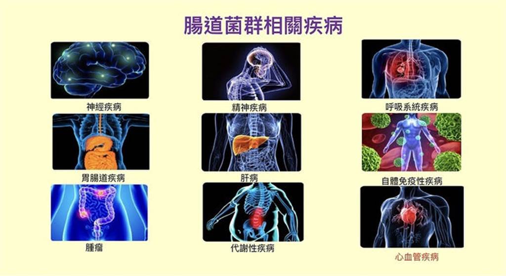 （圖片來源 / 吳明賢提供）