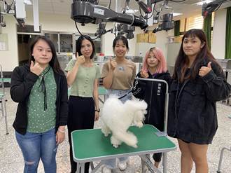 弘光科大動保學生參加美容檢定 挑戰剪真狗克服狀況獲獎