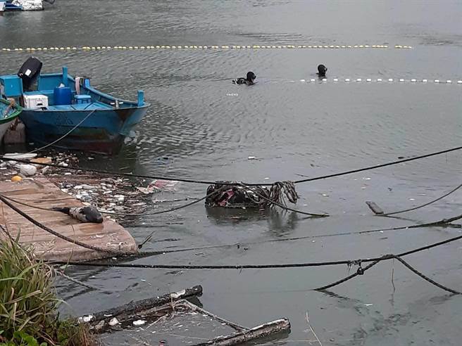 新北市动保处接获通报，今经与专家讨论研判后认定牠已离乳，清晨7时许潜水员下海打算将小海豹引领出渔港，但牠警觉性高，潜水员才靠近牠就一溜烟游出渔港。（民眾提供）