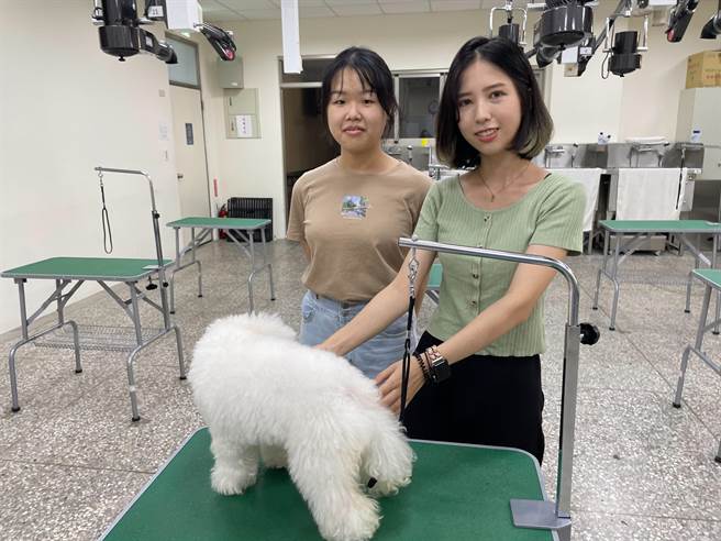 弘光科大动保学程学生黄荟雅(右)、廖彩妏(左)参加宠物美容检定分别获得最佳技术奖、C级技术奖。（陈淑娥摄）