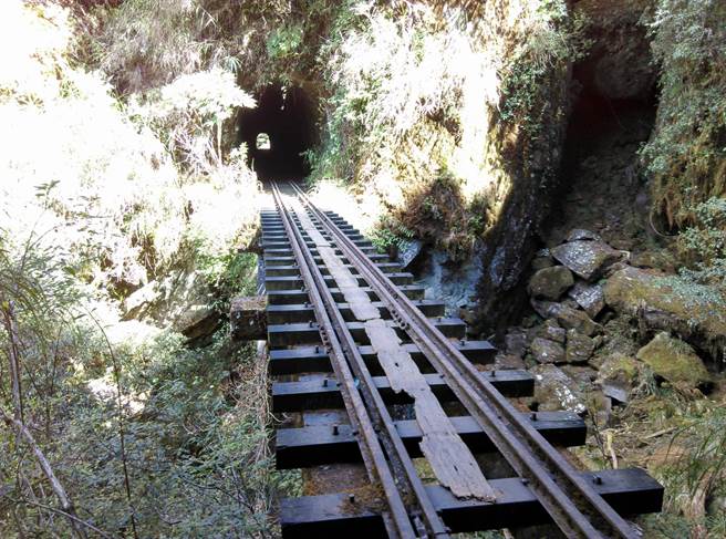 阿里山铁路支线眠月线有「秘境」美称，近年已成登山人气景点。（林务局嘉义林区管理处提供∕吕妍庭嘉义传真）