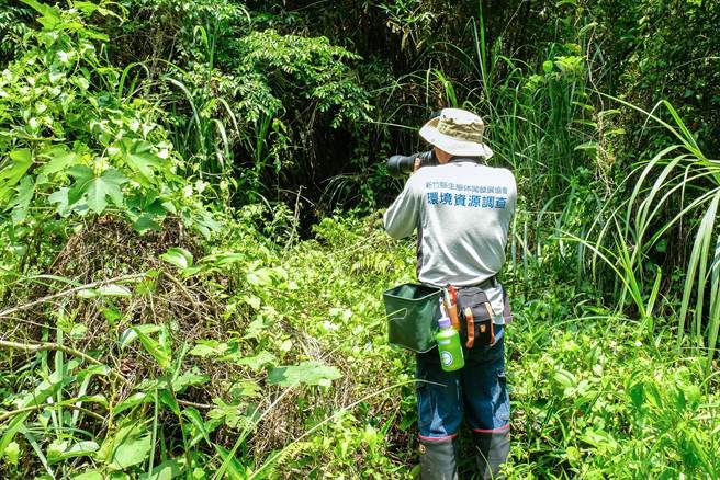 新竹縣生態休閒發展協會總幹事劉創盛，發現關西「茄苳窩」濕地的蜻蜓物種最豐富，用專業相機和長鏡頭拍下蜻蜓生態。（羅浚濱攝）