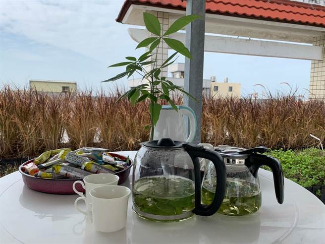 公所希望绿屋顶成为民眾放松休憩及推动节能宣导的新园地。（北门区公所提供／张毓翎台南传真）