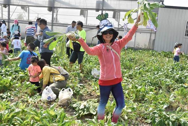 第三波农游券今早抽籤，22万幸运儿可领888元。图为农游券商家推出冬季採白玉萝卜活动。（高雄市农业局提供)