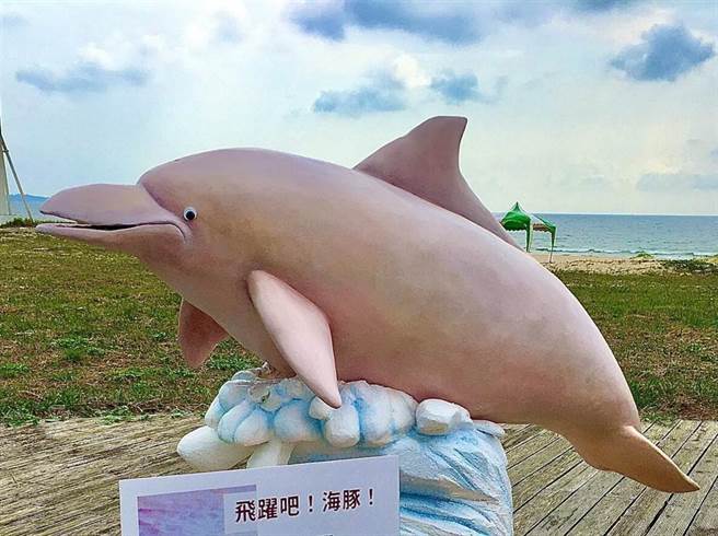 金門縣府大力推動維護海洋生態環境，透過文創宣導保育也是重點工作之一。（李金生攝）