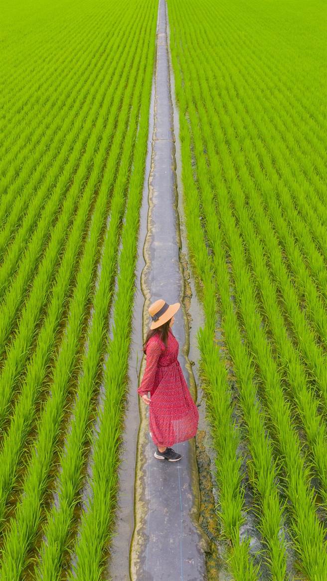 「2021我爱云林之美空拍摄影大赛」社会组银牌奖得奖作品「红衣大女孩」。（云林县政府计画处提供）