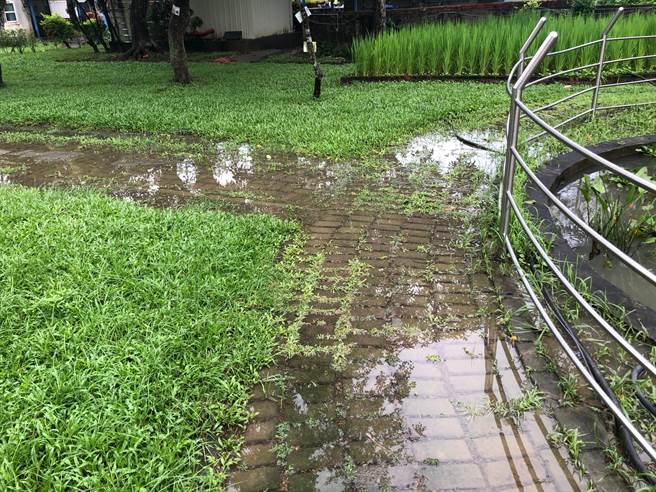 口埤实小校园连锁砖步道原本因低洼积水严重，以碎石步道垫高后，改善积水也增加铺面透水性，图为改善前。（台南市教育局提供／曹婷婷台南传真）