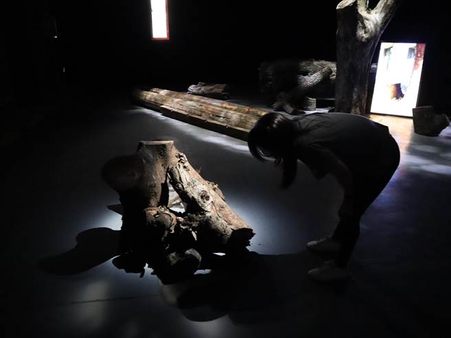 《风吹过才感受到你的存在》特展，是艺术家陈家翊将树的不同形态，以实体、灯箱装置及影像方式，让展场变身一座美丽森林。（台南市政府文化局提供／张毓翎台南传真）