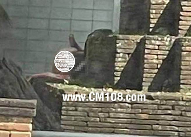 泰国一对男友在泰国清迈一处古蹟遗址前打野炮，惨遭当地民眾炮轰。（图／翻摄自脸书）