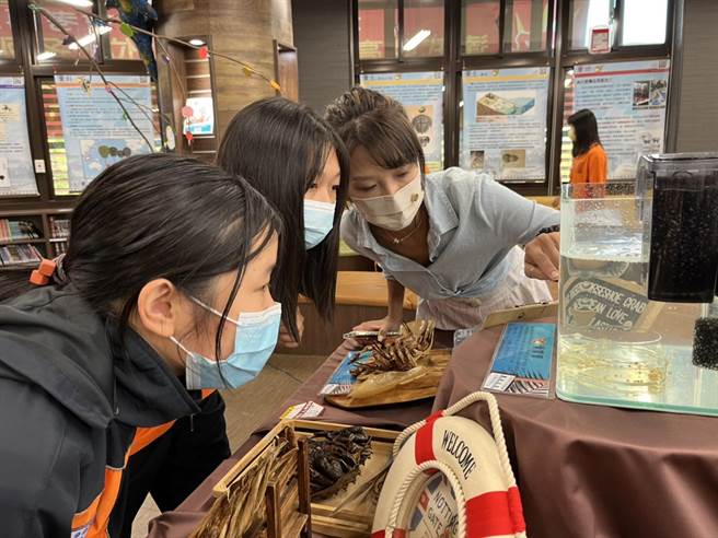 学生看到鲎宝宝都觉得十分惊奇。（陈梦茹摄）