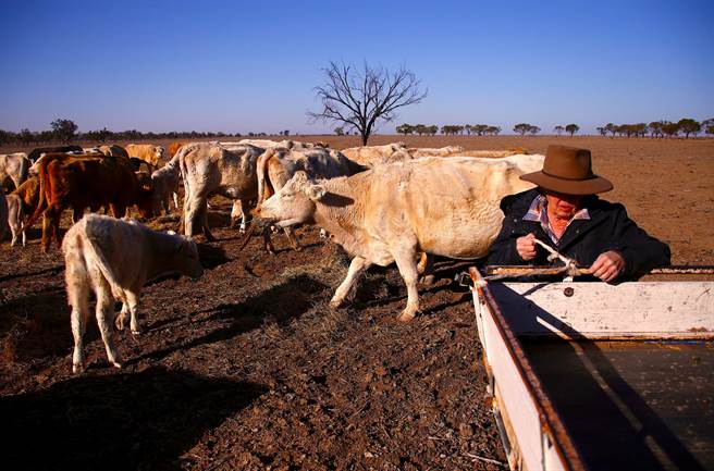 澳洲的天然气产业领袖在9月表示，削减甲烷排放是这个产业的长期优先目标。 (图/路透社) 