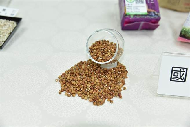 （看好国产红薏仁保健潜力，台中农改场另以机能性成分萃取技术同时授权并与多家国内生技保健食品业者合作，陆续辅导开发红薏仁多样化产品。图／农委会提供）